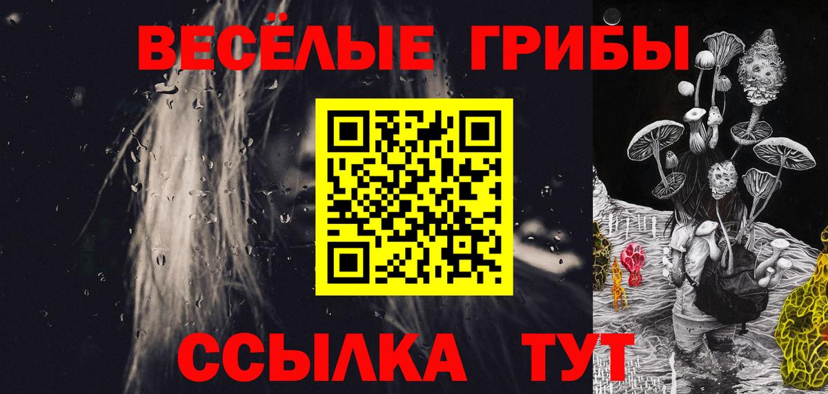 Галлюциногенные грибы Psilocybe Алейск
