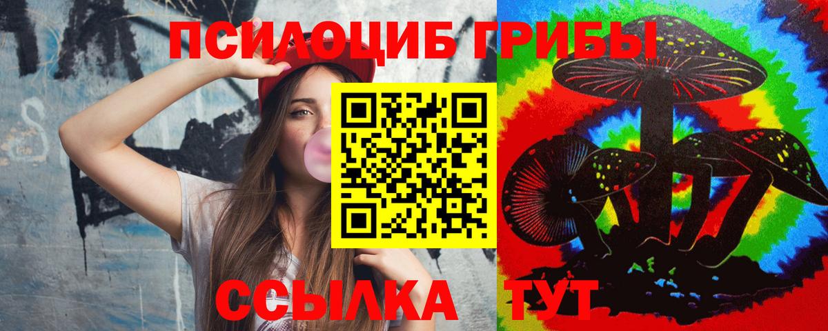 Псилоцибиновые грибы GOLDEN TEACHER  Вход с VPN  Алейск 